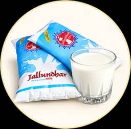 Dairy